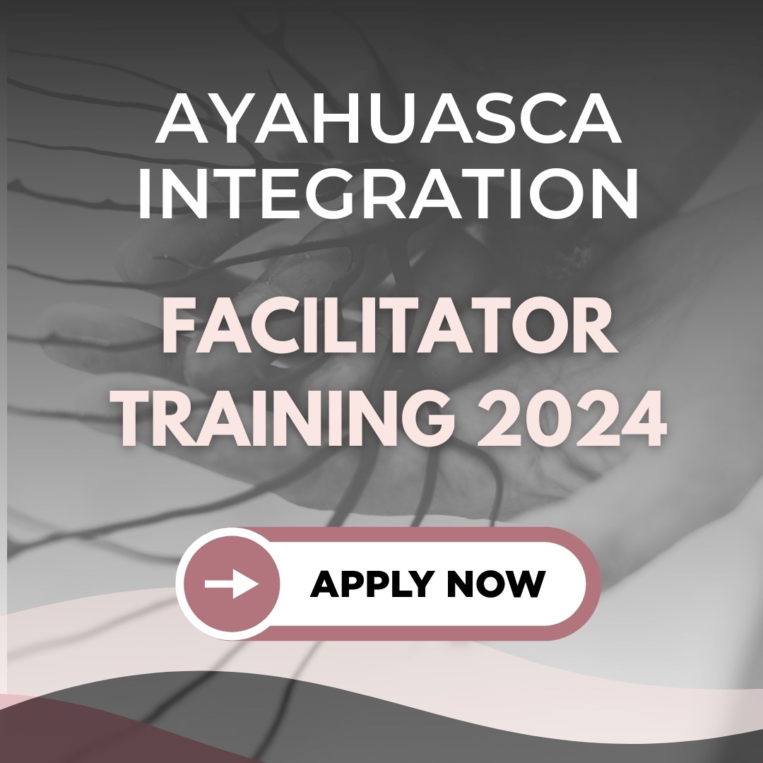 facilitator training 2024